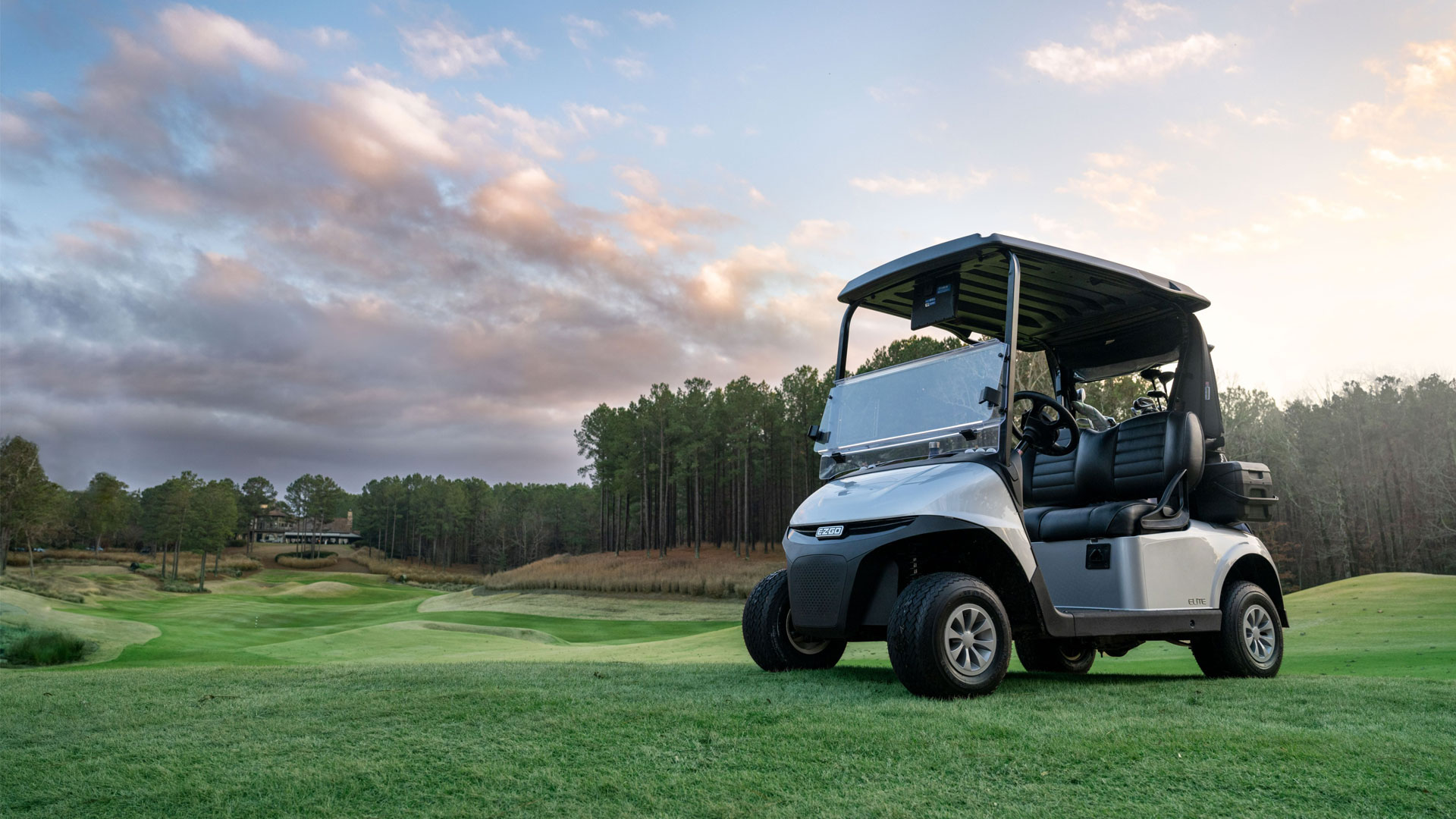 RXV Golf Buggy