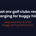 The Big Buggy Pricing Survey is on!